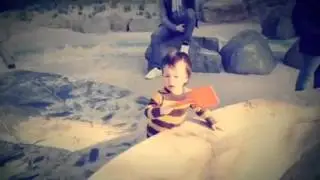My Vidify Video featuring Stare Into the Sun by Graffiti6