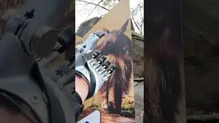 Первые Панды Вне Китая в Зоопарке Чапультепек  #путешествия #мексика