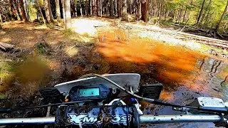 Ракуем в чаче 😂😆🤟