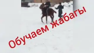 Обучаем Жабагы...