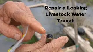 how to repair a leaking water float valve in a livestock water trough