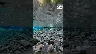 Water you waiting for? Dive into the importance of clean water!
