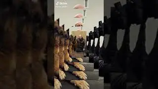 @Самый Лучший 👍💯 актёр из сериала ПЁС 👮🐕 это Максим Максимов и его ПЁС