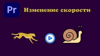 Замедление видео в Premiere Pro.  Два способа