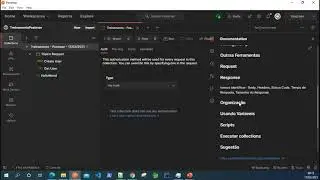 Conhecendo o Postman - Organização
