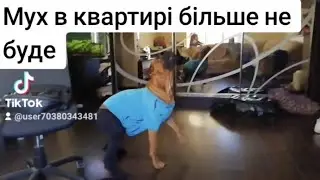 Мух в квартирі більше не буде!