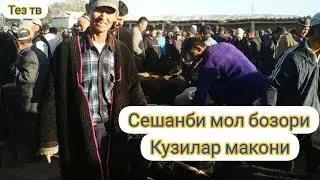 дехконобод мол бозори нархлари Сешанби мол бозори нархлари