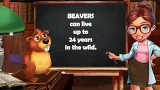 ZooCraft: Fun Facts Time 2! Vol. 13 (Beaver)
