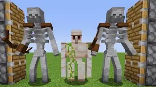 Mutant Skeleton + Iron Golem + Mutant Skeleton= ??? / minecraft