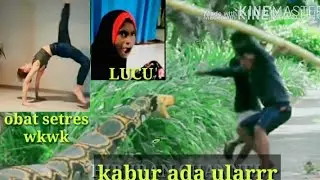 vidio lucu obat setres wkwk