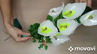 Как сделать Спатифиллум🥀 Пэт бутылки!Легко и просто !