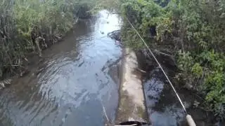 Ловля окуня в ручье, или рыбалка на час