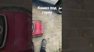 #жиза