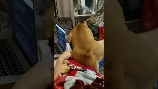 Упс, упала...