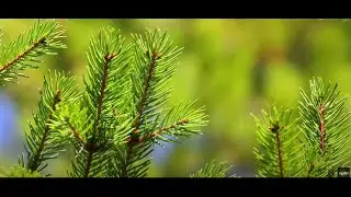 T8 EXTRA: история одного продукта