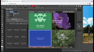 How to use the Type Tool in Photopea to make a Title page for Final Portfolio