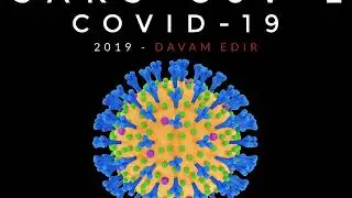Koronavirus: COVID-19 xəstəliyinə səbəb olan SARS-CoV-2 quruluşunun izahı. Understanding SARS-CoV-2