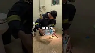 This firefighter is a snake charmer ❤️ 