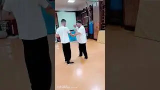 Добьём 3к? Тренировка Вин Чунь Куэн #Wingchunvl #martialartstraining #kungfu #russia #top #shorts