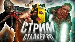 🔴 ИЩУ ГИТАРУ | Heart of the Zone | DAYZ STALKER RP