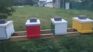 Простой способ избежать слёта нуклеусов