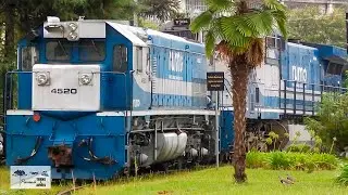 Locomotivas GT-22, Dash 9 e ES43bbi manobrando no pátio da Sede da Rumo em Curitiba pr