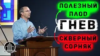 Гнев - полезный плод или скверный сорняк? - Сергей Кривонос(Проповедь 13/09/20)