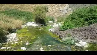 سباحة في وادي الحنداج صيفا