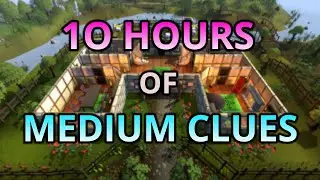Loot From 10 Hours Of Medium Clue Scrolls
