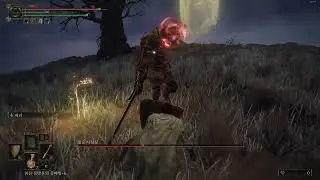 [Elden Ring] 방울 사냥꾼 74렙에 맞다이로 이기기