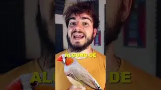 ¿Qué es el oído absoluto? 🧏🏻‍♂️👂