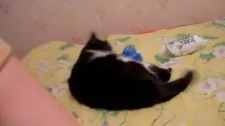 Анна Демяхина спальня ( медведя Пещерного) xaxaxaxaxa)))))
