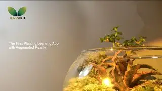 Education - Terrakit - S1 Business Prasmul