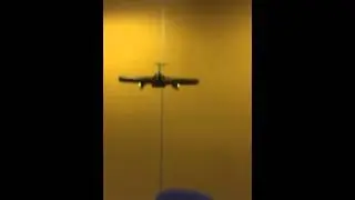 Buzzard Flight test