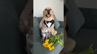 Дени и Мэни от всей своей души, поздравляют всех милых дам с 8 марта💐