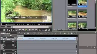 11. Presenting the Bin Window [EDIUS 6 Basics]