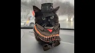 pulemetchik_v2_mp4
