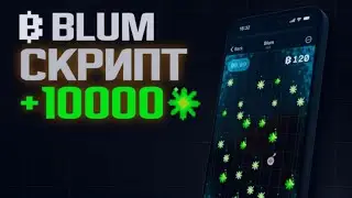 Ферма BLUM проекта | автоматизируем airdrop Blum! 50 