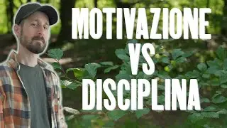 MOTIVAZIONE VS DISCIPLINA Cosa serve realmente per centrare un obiettivo | Riflessioni dal bosco