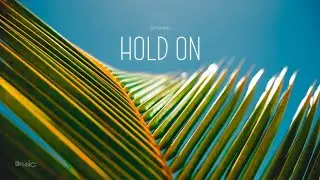 Hold On - Spiring [No Copyright-free Music]