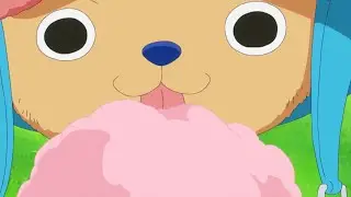 Chopper Thought They Were The Real Ones | One Piece Chopper