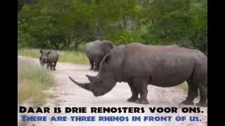 Learn to speak Afrikaans 18 : African Safari