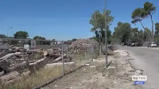 Pescara - Pineta, l’allarme di Pettinari
