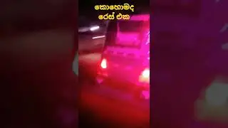 කොහොමද රෙස් එක