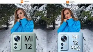 Xiaomi Mi 12 VS Xiaomi Mi 12 Pro | Camera Test