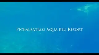 Pickalbatros Aqua Blu Resort за 1 минуту