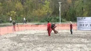 Малинуа 2 упр