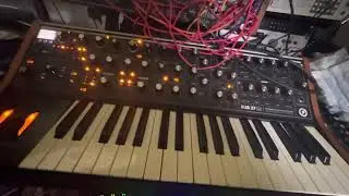 What I like most about the Moog Sub 37