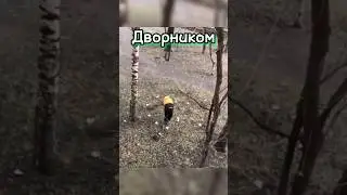 СКОЛЬКО НУЖНО РАБОТАТЬ 💸ДВОРНИКОМ 🧹 ЧТОБЫ КУПИТЬ ВЕСЬ РЫНОК В STANDOFF 2 