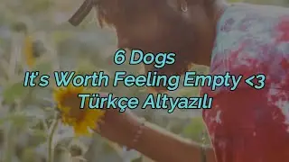 6 Dogs - It's Worth Feeling Empty 🖤 (Türkçe Altyazılı)